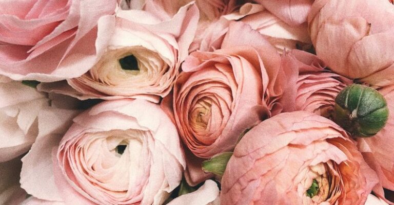 Anniversaries - Close-up Photograph of Flowers